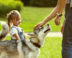 Co-parenting after divorce.