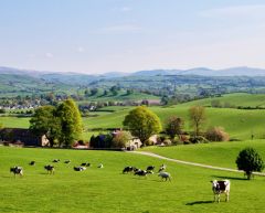 5 reasons to divorce in England.
