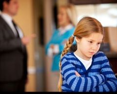 Family law reporting mind your language.