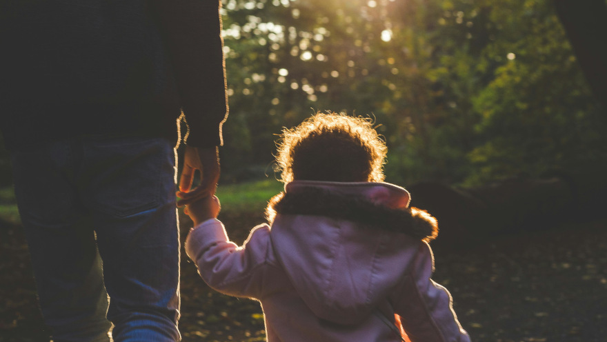 What is the pathfinder process in family court? A simple guide for parents.
